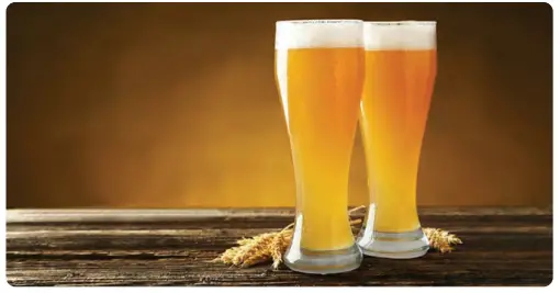 nutrichef Home Brewing Recipe-German wheat