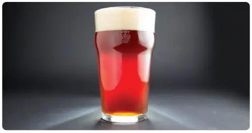 nutrichef Home Brewing Recipe-distinct