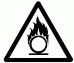 Fire Icon