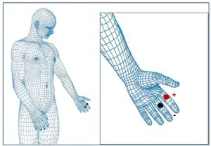 biosignalsplux Electrodermal Activity (EDA) Sensor - Sensor Placement