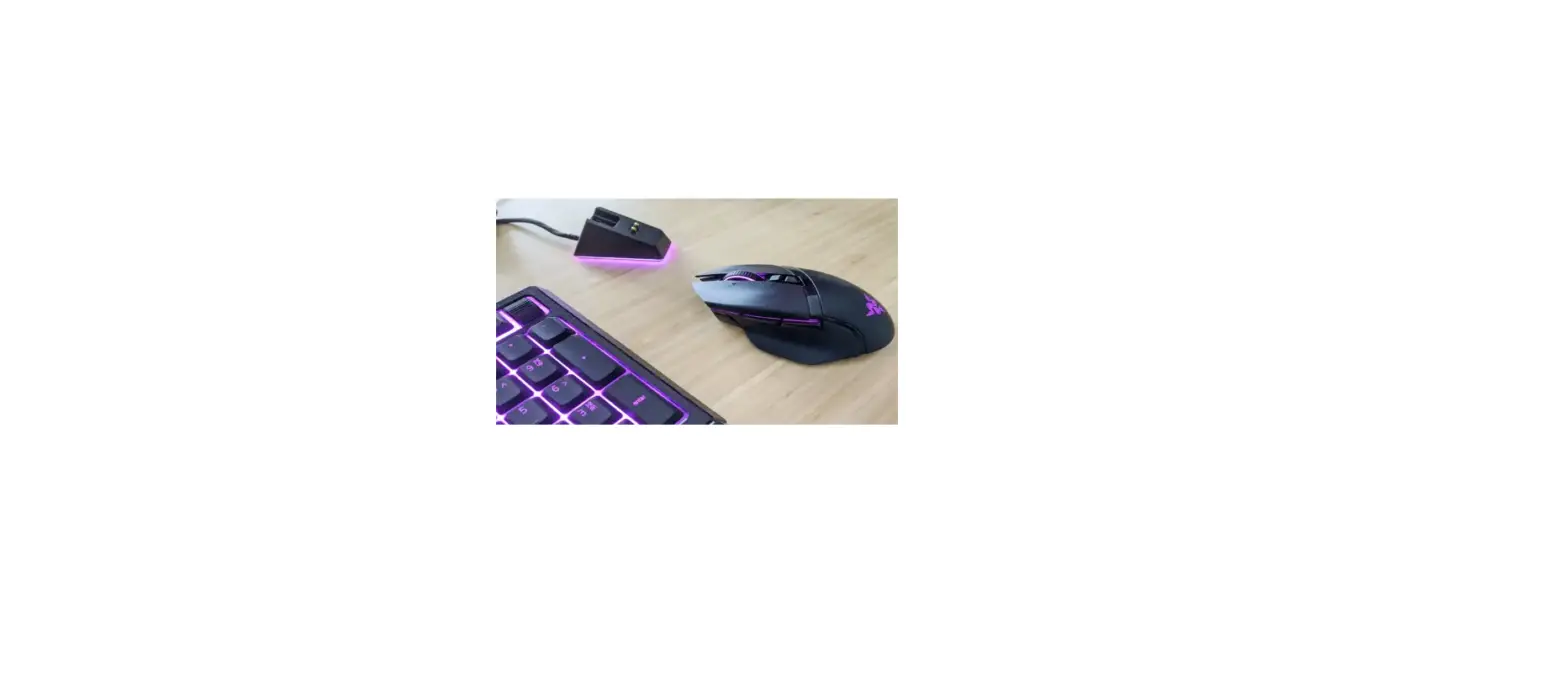 Razer Mouse Faq Razer Mouse Faq
