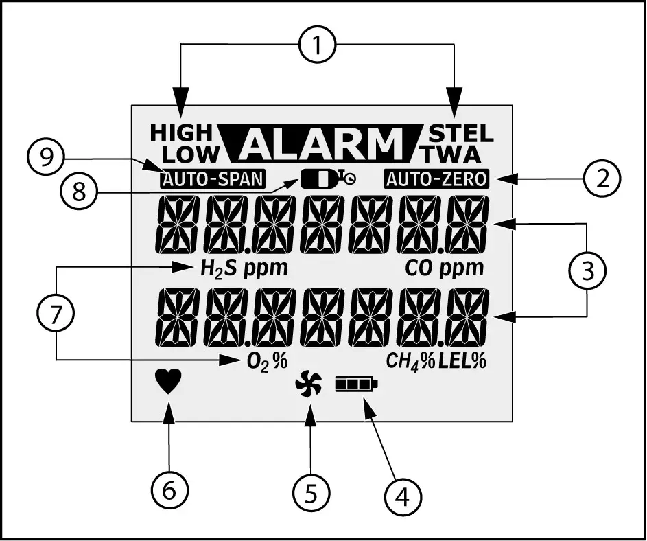 BW GasAlert MaxXT II Gas Detector - Display Elements