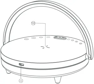 KAVILO APPEARANCE FEATURES