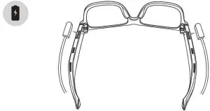 Charging Instructions