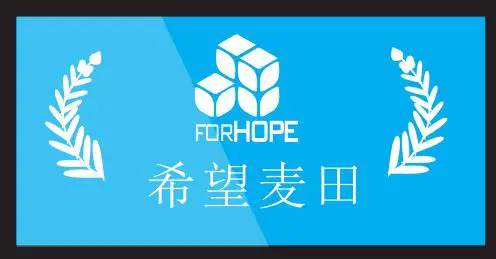 FORHOPE XM1000S pro Wireless Transmitter Receiver Kit Instruction Manual - Start-up Screen