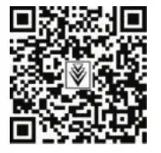 KARCHER WV 5 Premium Non Stop Cleaning Kit - qr