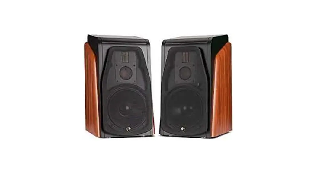 Swans M500 High Fidelity Active Speaker User Manual Swans M500 High Fidelity Active Speaker User Manual