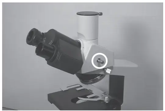 Using the Camera Port