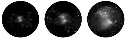 Constellation Vulpecula