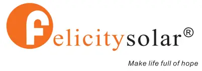 felicity Logo