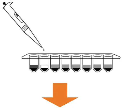 Plate Samples and Positive Control (PC)