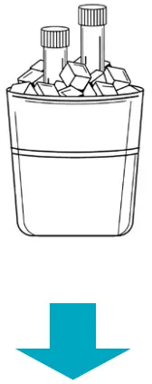 Plate the Master Mix