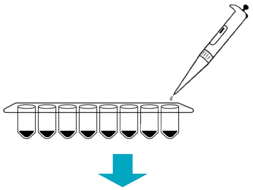 Plate the Master Mix