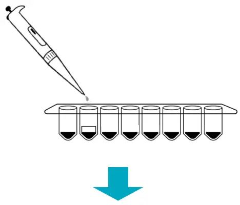 Plate the Master Mix