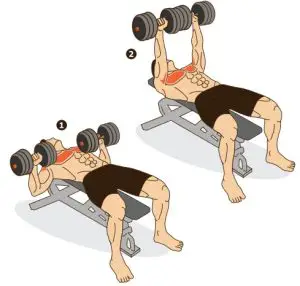 kogan FSADDBBS20A Adjustablel Dumbble and Barbell Set - Bent Over Row