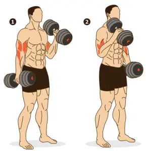 kogan FSADDBBS20A Adjustablel Dumbble and Barbell Set - EXERCISE GUIDE