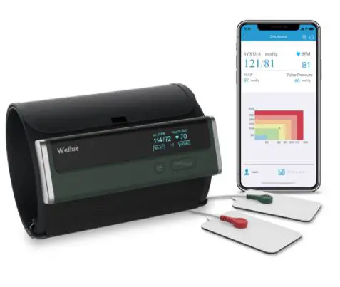 Wellue Bp2a Automatic Upper Arm Blood Pressure Monitor User Guide