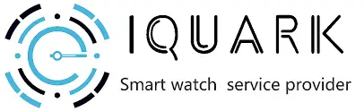 Shenzhen Iquark Intelligent Technology logo