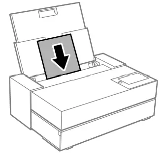 EPSON SureColor paple