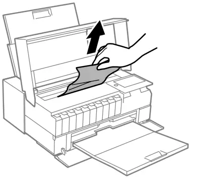 EPSON SureColor remove 1