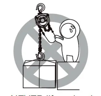 LINX-LIFT-13157-TX-Series-Manual-Chain-Hoist-4