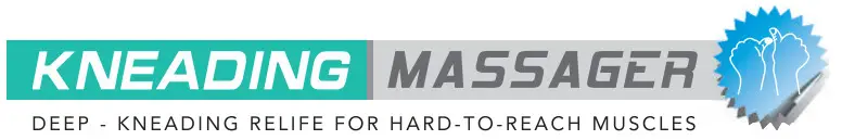 Nekteck MN 0171 Shiatsu Back and Neck Massager