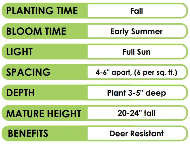 PLANTING & CARE INSTRUCTIONS