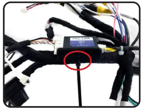 PAC SRK-CHR15H 2015-2021 Dodge Charger - three connectors 6