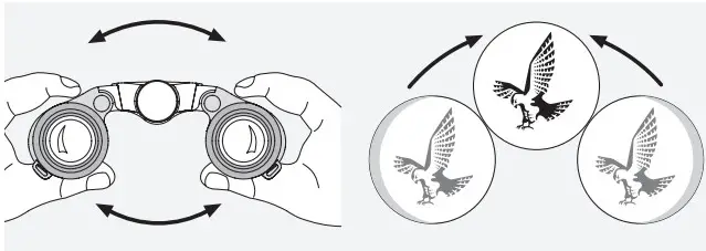 SWAROVSKI PO-1E2LBA-02 8x25 CL - INTERPUPILLARY