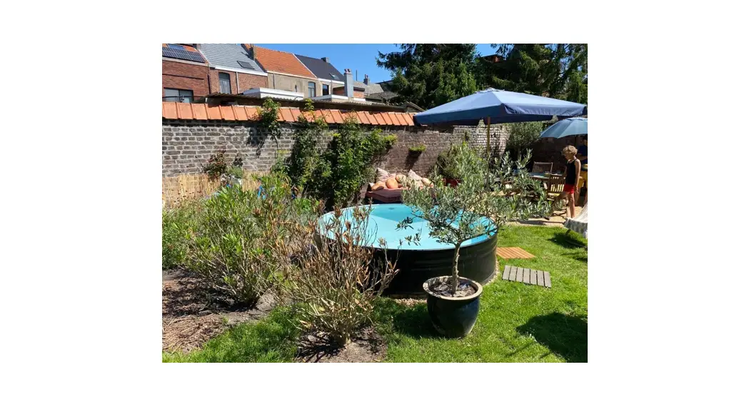 Tankkd Diy Paint Installation Guide