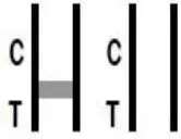 AccuBioTech-ACCU-TELL-FOB-Cassette-fig- (4)