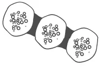 Temtop P20C  R  Laser Particle Air Quality Detector - icon 1