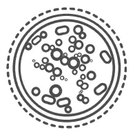 Temtop P20C  R  Laser Particle Air Quality Detector - icon