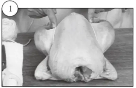 kogan KA23LDGFRYA 23L Digital Air Fryer Oven-Trussing Poultry1