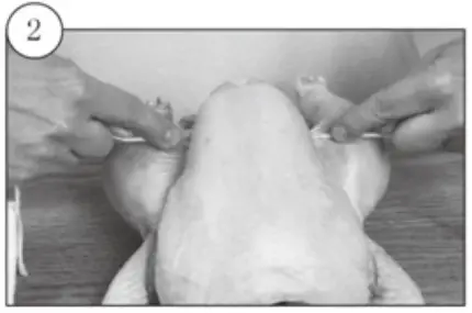 kogan KA23LDGFRYA 23L Digital Air Fryer Oven-Trussing Poultry2