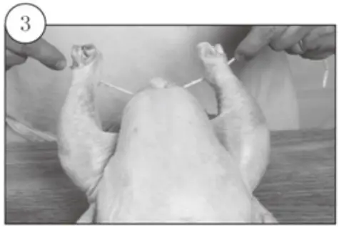 kogan KA23LDGFRYA 23L Digital Air Fryer Oven-Trussing Poultry3