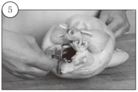 kogan KA23LDGFRYA 23L Digital Air Fryer Oven-Trussing Poultry5