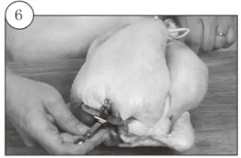 kogan KA23LDGFRYA 23L Digital Air Fryer Oven-Trussing Poultry6