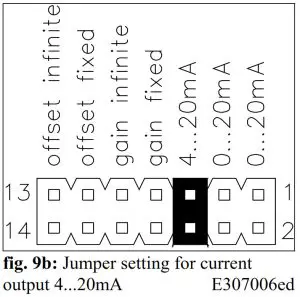 Fms EMGZ307 Analogue Tension Measuring Amplifier----Outputsn