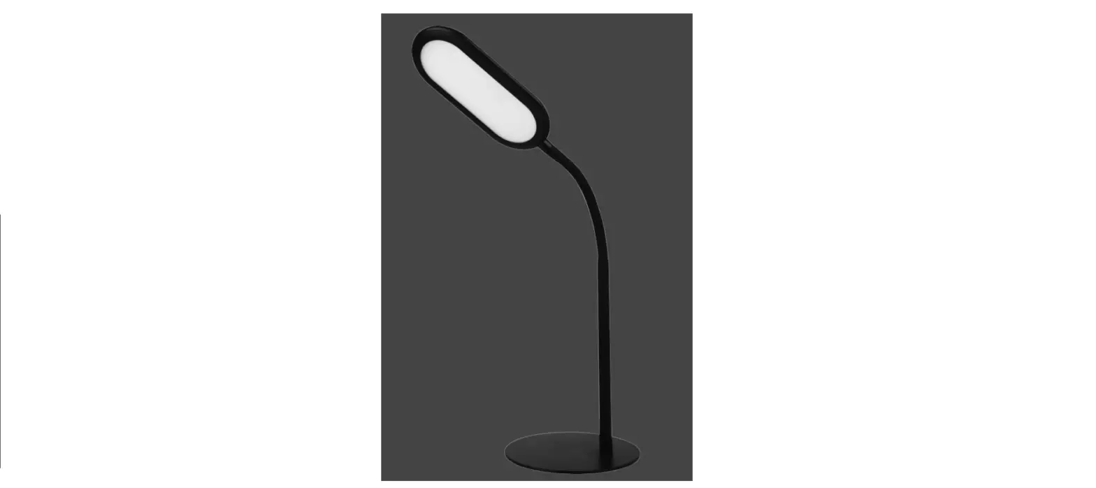 Paul Neuhaus 997508 Standing Lamp Instruction Manual