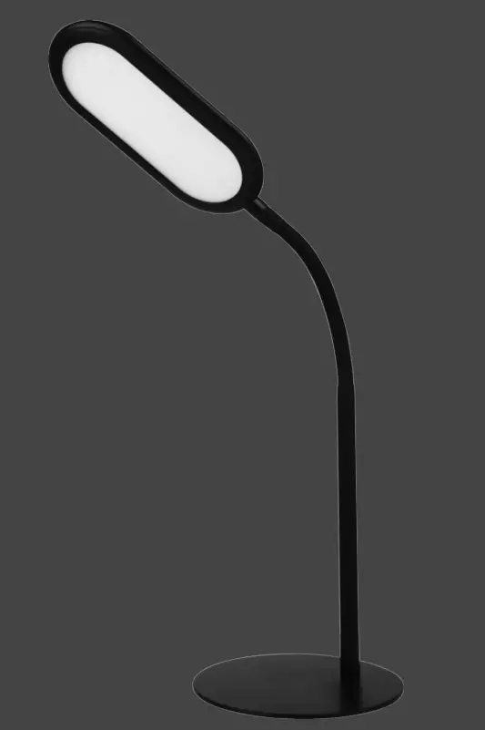 Paul-Neuhaus-997508-Standing-Lamp