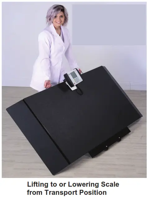 DETECTO 8500 Portable Stretcher Scales -