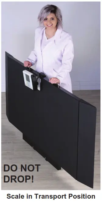 DETECTO 8500 Portable Stretcher Scales - Scale in Transport Position