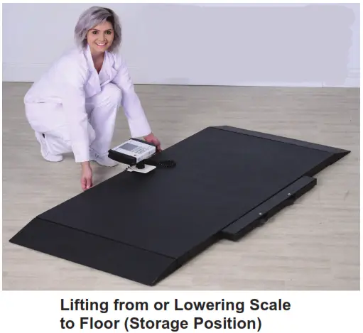 DETECTO 8500 Portable Stretcher Scales