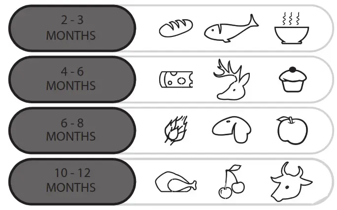Candy CCE3T618FWU Refrigerator - MAINTENANCE AND CLEANING 2