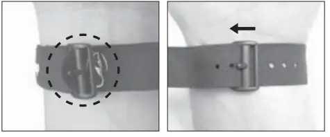 Dogtra ARC HANDSFREE 2-Dog Remote Dog Training-11