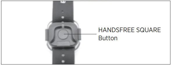 Dogtra ARC HANDSFREE 2-Dog Remote Dog Training-17