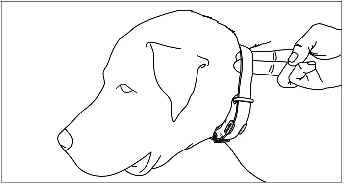 Dogtra ARC HANDSFREE 2-Dog Remote Dog Training-18