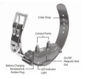 Dogtra ARC HANDSFREE 2-Dog Remote Dog Training-3
