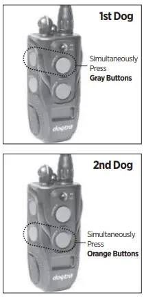 Dogtra ARC HANDSFREE 2-Dog Remote Dog Training-9